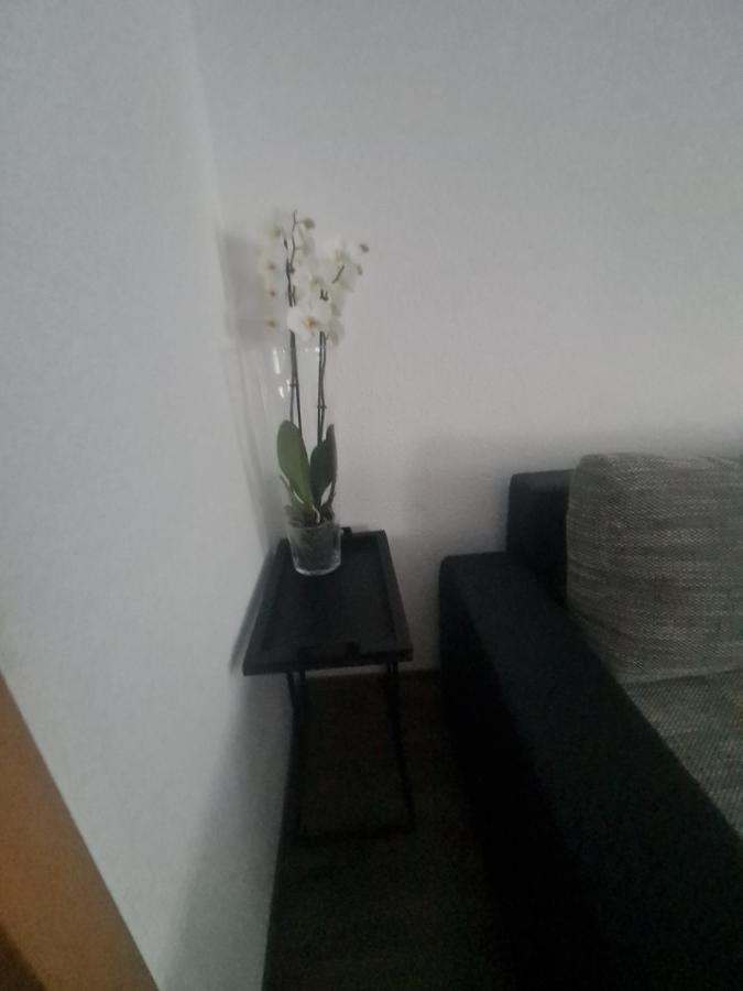 Paula Haus Trier公寓 外观 照片